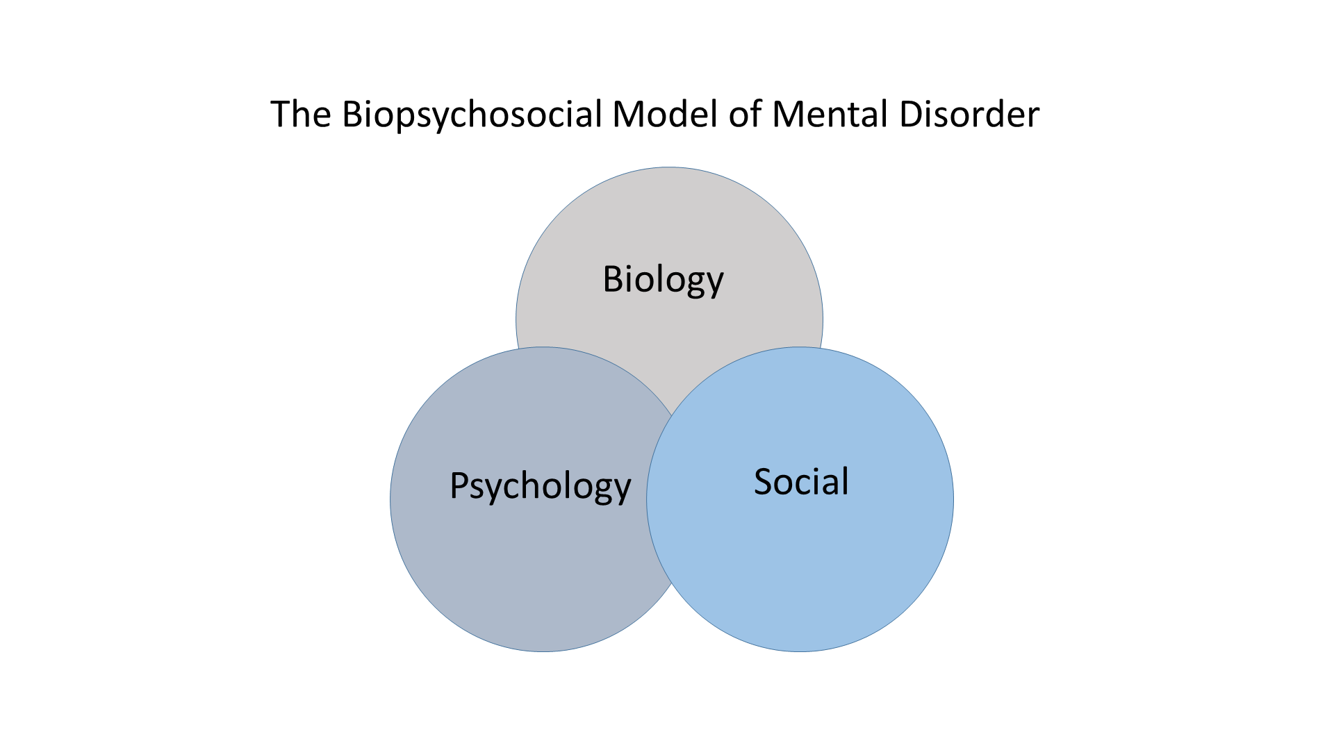 uk essay biopsychosocial model